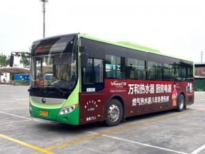標準+版